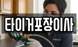 전라남도 진도군 이사,용달이사,포장이사,원룸이사,보관이사