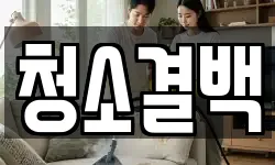 청소결백