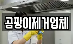 곰팡이제거업체