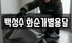 백성수 화순개별용달