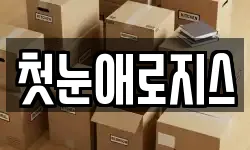 전라남도 화순군 이서면 이사,용달이사,포장이사,원룸이사,보관이사