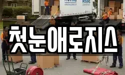 첫눈애로지스