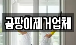 곰팡이제거업체