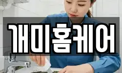 개미홈케어