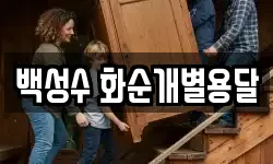 백성수 화순개별용달