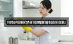 주방청소식당에어컨쓰레기집생활폐기물청소미스터컴퍼니