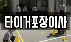 타이거포장이사
