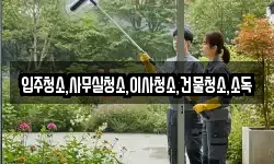 입주청소,사무실청소,이사청소,건물청소,소독