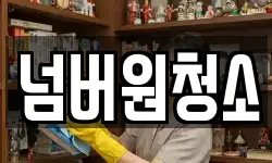 넘버원청소