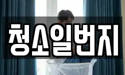 청소일번지