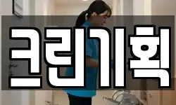 크린기획