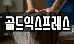 골드익스프레스
