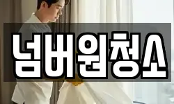 넘버원청소