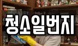 청소일번지