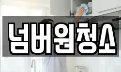 넘버원청소