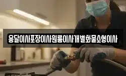 전북특별자치도 군산시 금암동 이사,용달이사,포장이사,원룸이사,보관이사