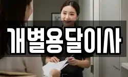 개별용달이사