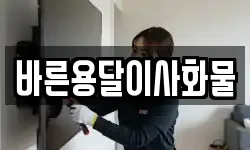 바른용달이사화물