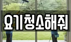 요기청소해줘