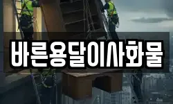 바른용달이사화물