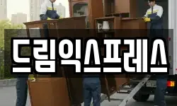 드림익스프레스