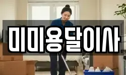 미미용달이사