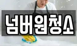 넘버원청소