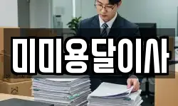 미미용달이사