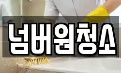 넘버원청소