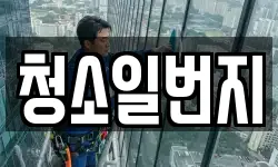 청소일번지