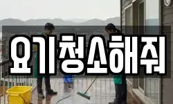 요기청소해줘