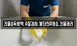건물소독방역,수질검사,계단신주청소,건물관리