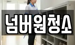 넘버원청소