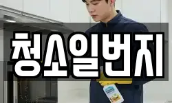 청소일번지