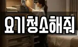 요기청소해줘