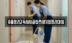 유품정리고독사시골집쓰레기집정리대원