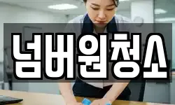 넘버원청소