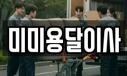 미미용달이사