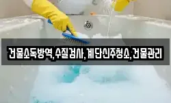 전북특별자치도 군산시 옥도면 청소,입주청소,사무실청소,에어컨청소