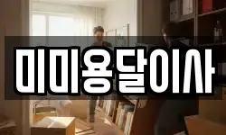 미미용달이사