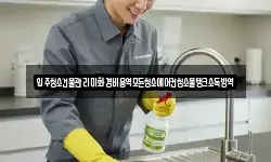 입주청소건물관리미화경비용역모든청소에어컨청소물탱크소독방역