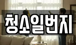 청소일번지