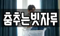 춤추는빗자루