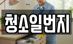 청소일번지