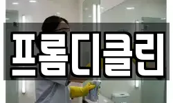 프롬디클린