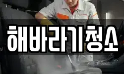 해바라기청소