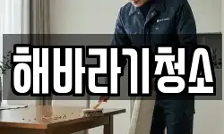 해바라기청소