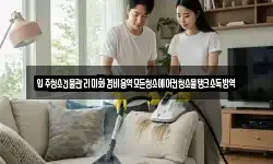 입주청소건물관리미화경비용역모든청소에어컨청소물탱크소독방역