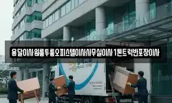 용달이사원룸투룸오피스텔이사사무실이사1톤트럭반포장이사