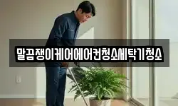 말끔쟁이케어에어컨청소세탁기청소